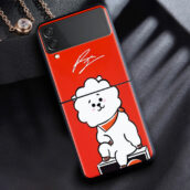 RJ
